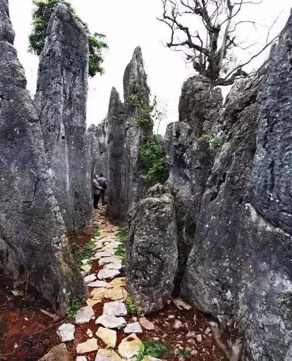 富源多地美景图,出门旅游散心的最佳选择