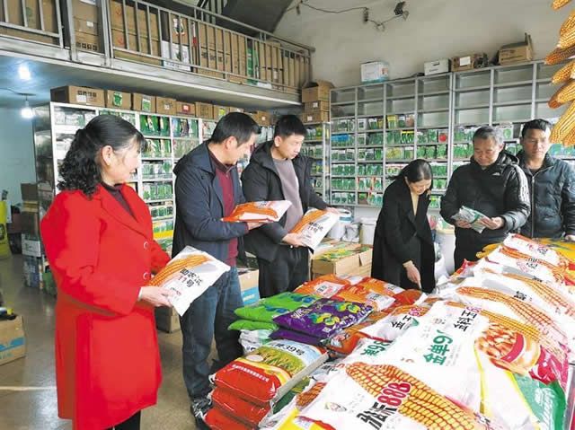 宣威：严选“一粒种” 把好“头道关”