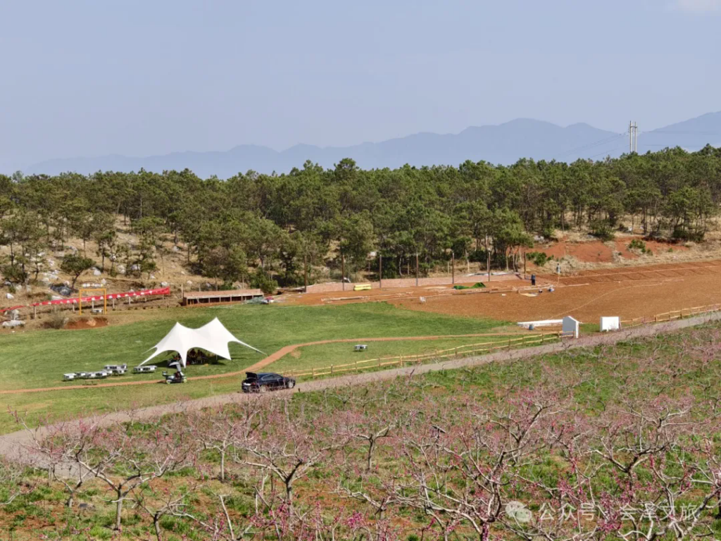 640.webp (4).png