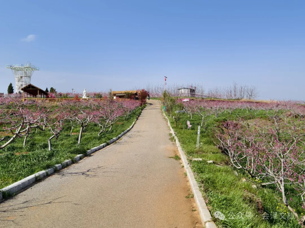 640.webp (7).png