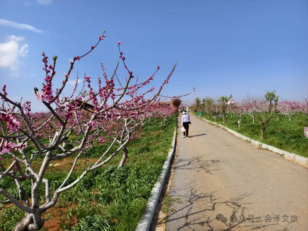 640.webp (8).png