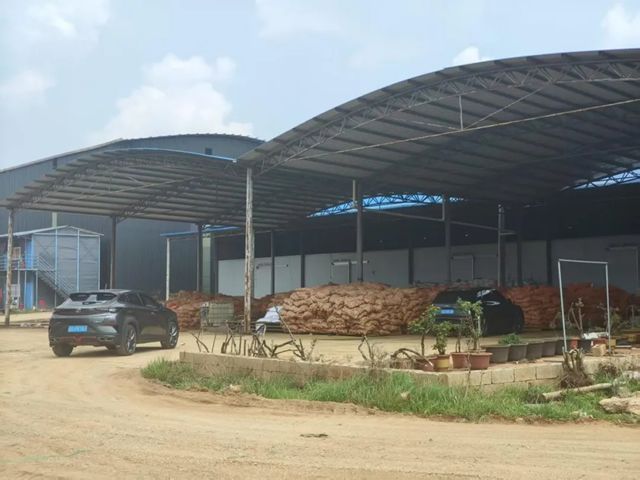 689e874334337.jpg 640.jpg