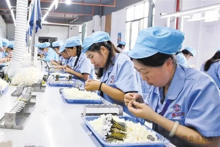 破浪前行谱新篇  ——会泽县2025年经..