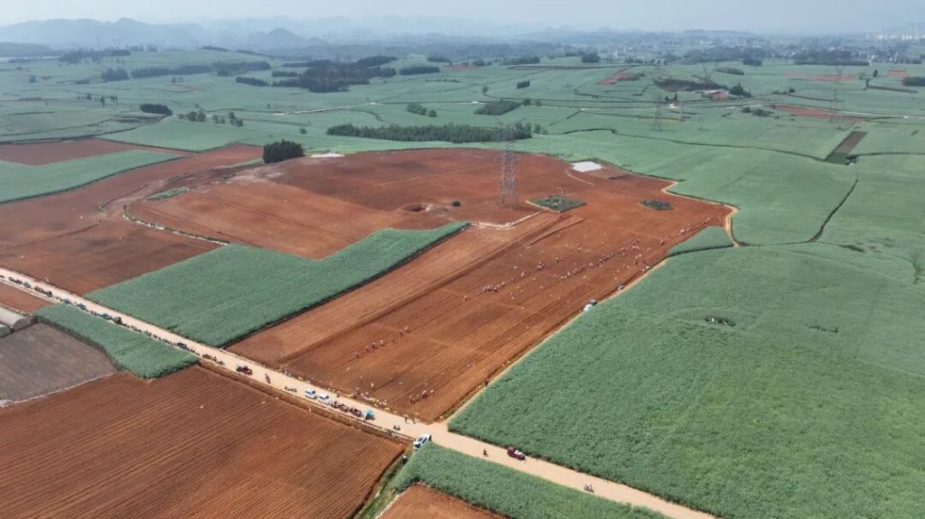 罗平:深耕高原特色农业 绘就乡村振兴新画..