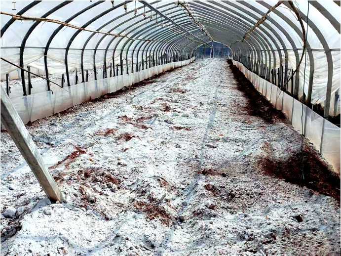 马龙区全力保障春节蔬菜质量安全