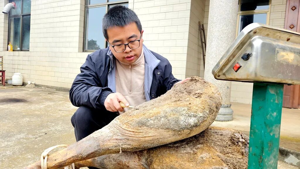 “火腿侠”陈永乐：书写助力乡村振兴的当代..