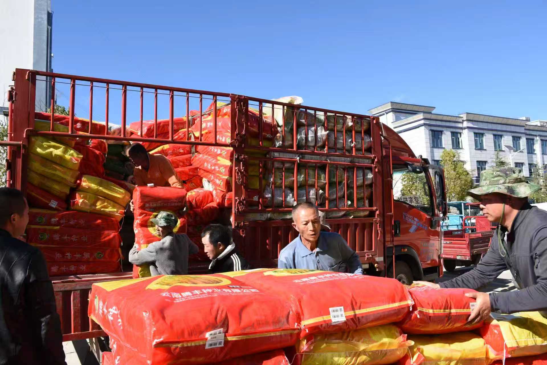 马龙:春耕备耕有序推进