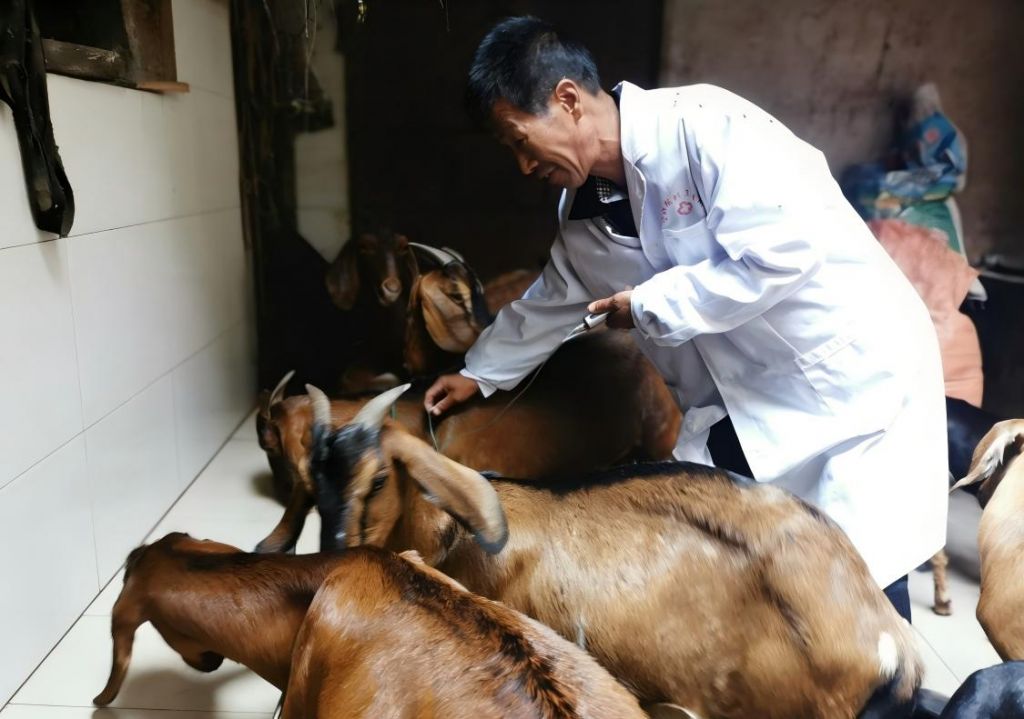 会泽县宝云街道四措并举抓实春季动物防疫