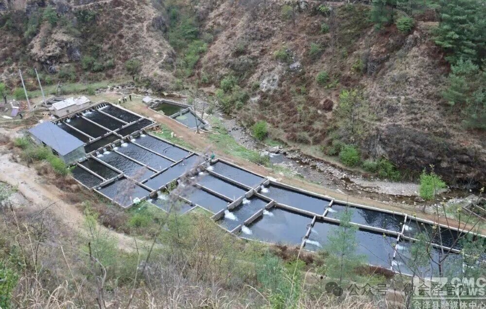 会泽：雨碌乡山间活水养好鱼