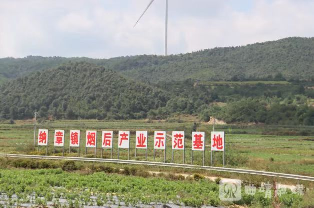 马龙区:聚焦 “抓产业” 全力培育壮大..