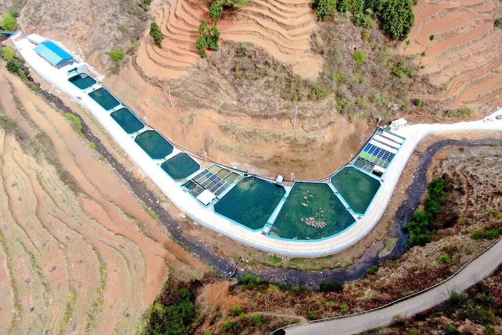 宣威：智慧渔业赋能 生态养殖提质增效