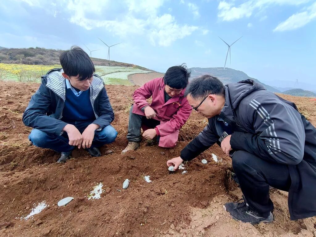 宣威乐丰乡: 万象“耕”新不负春 春耕生..