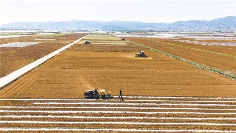 会泽:科技赋能闹春耕 样板示范促增收