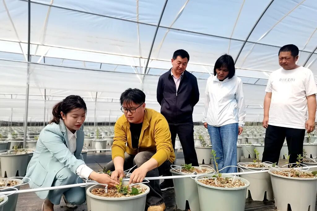土地“重启”！宣威西泽“腾笼换鸟”盘活乡..