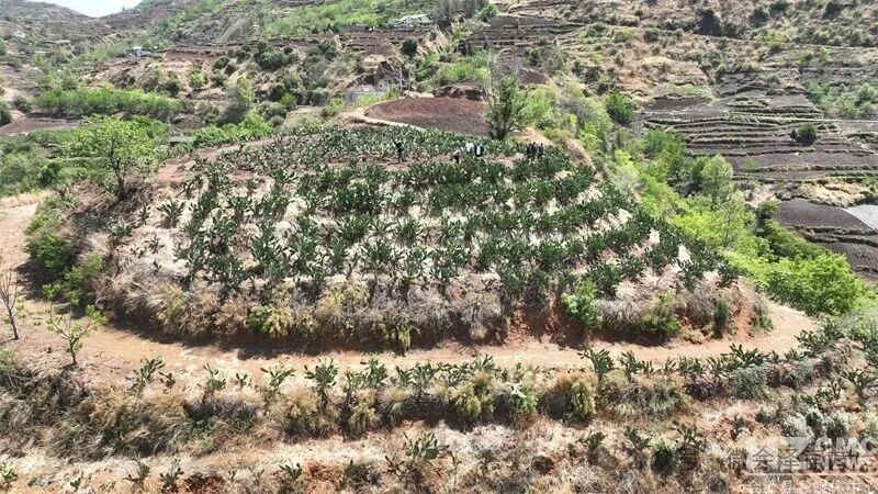 会泽县马路乡：70后女主播带货闯市场  ..
