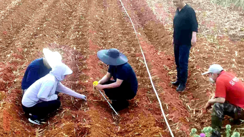 马龙区组织技术员一线指导护春耕