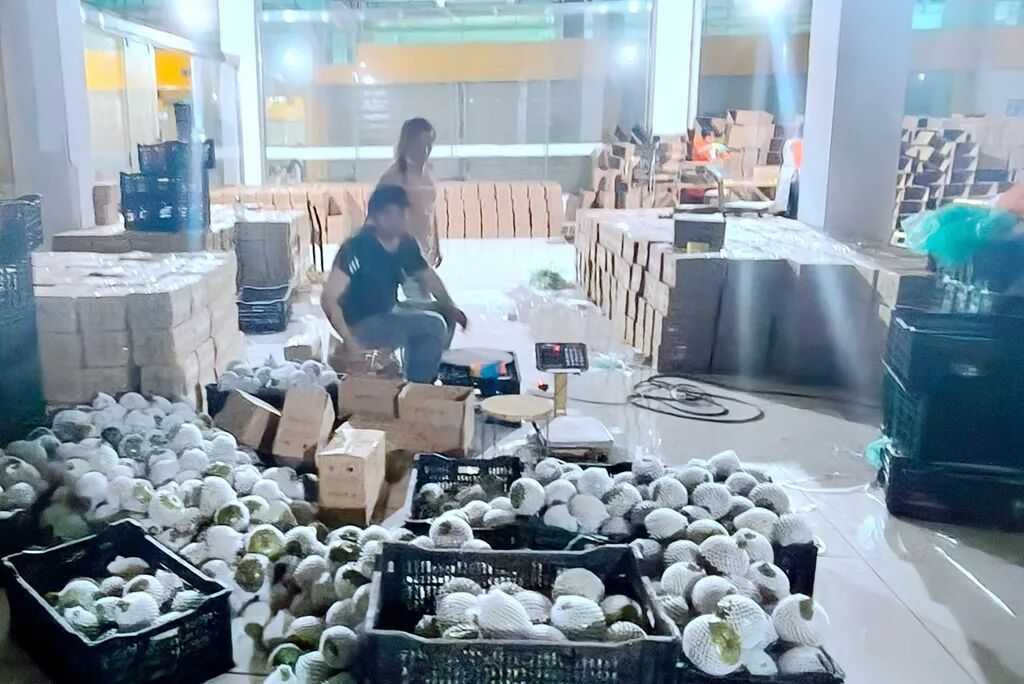 宣威：“电商直播+就业创业” 为农特产品..