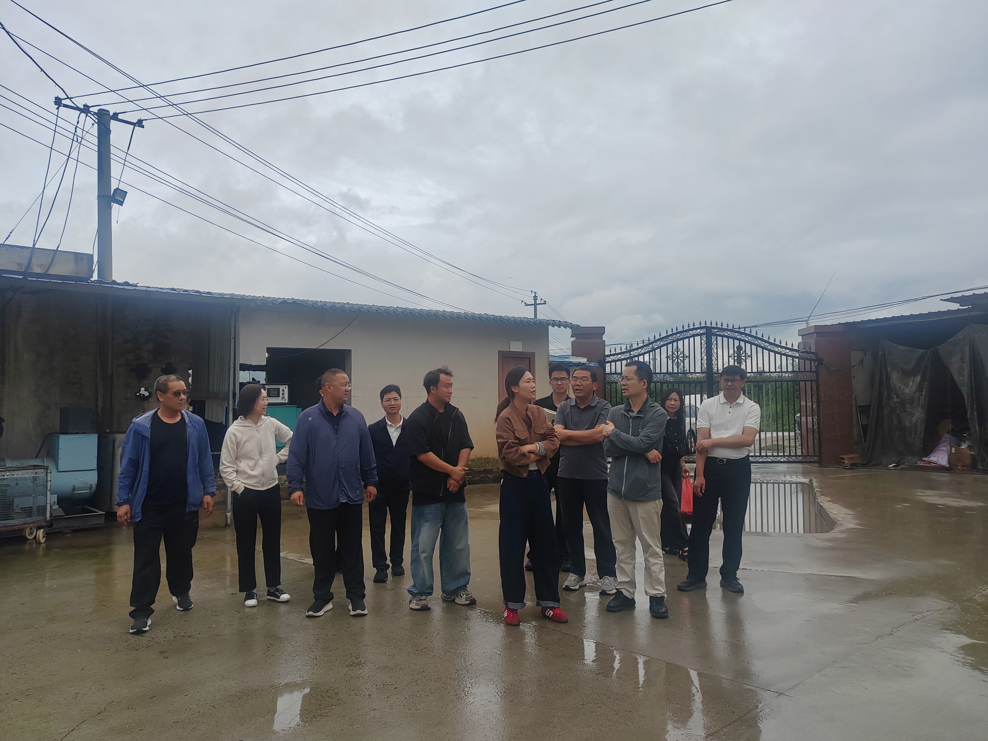 农业农村部调研组赴马龙区指导农产品质量安..
