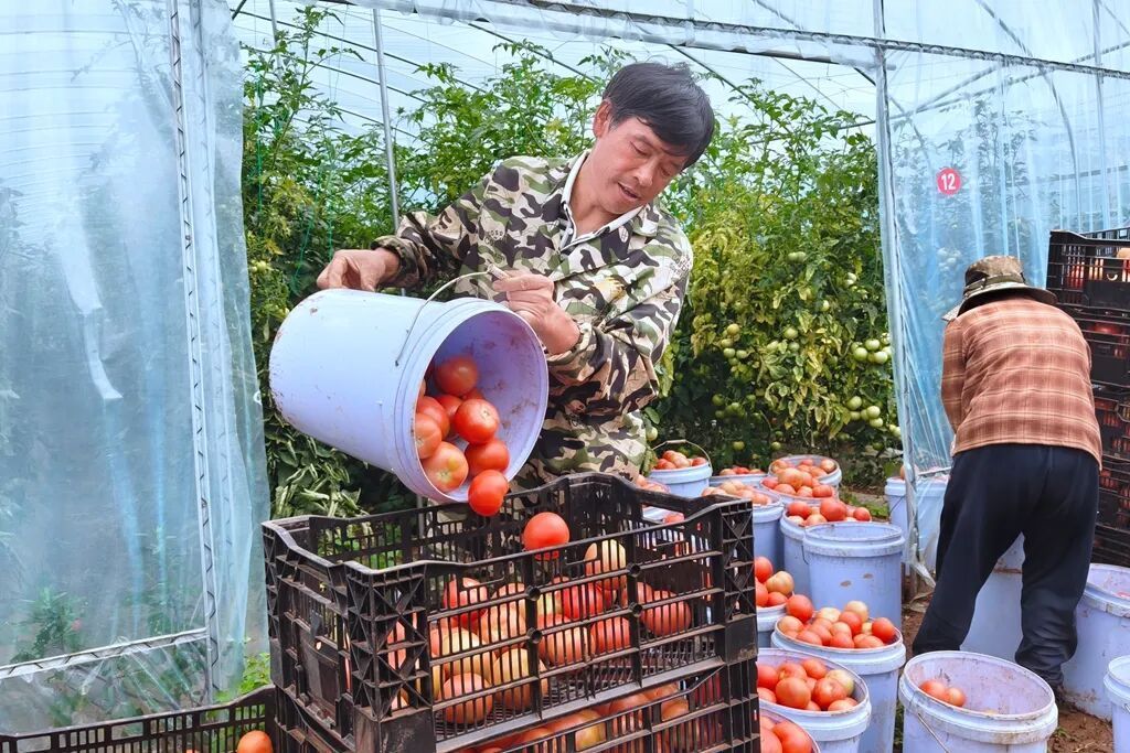 宣威:家门口服务站织密就业网 千人上岗激..