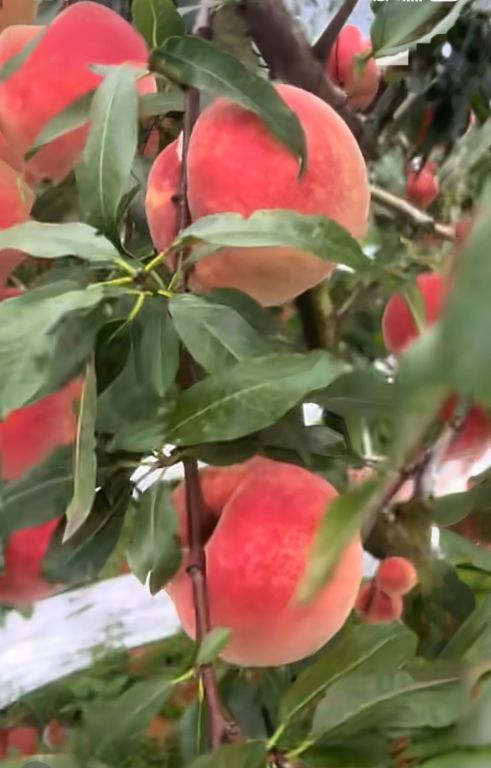 5cf4db86f0eecb24016aaa8b90abfe6.jpg