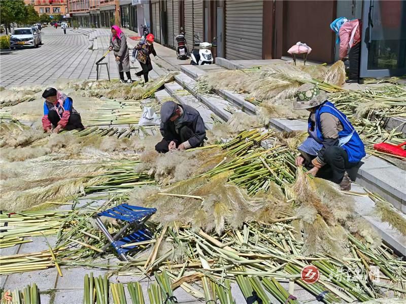 会泽:小车间盛放 “增收花“ 清水社区助..